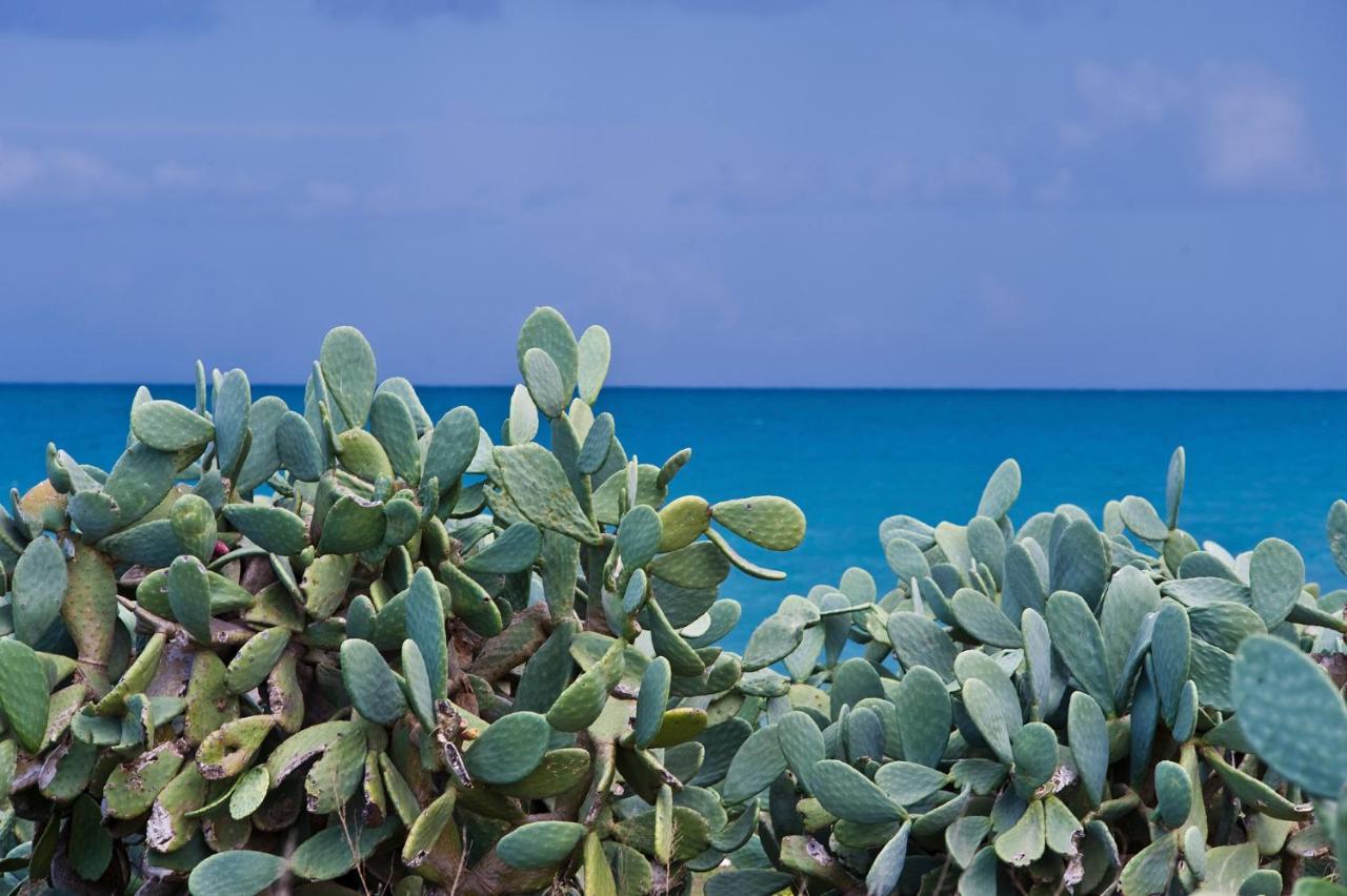 La Terrazza Di Puglia Appartement Conversano Buitenkant foto